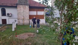 Obnova i sadnja voćnjaka u Čekaluši